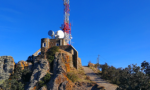 Start-up et innovation